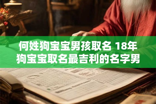 何姓狗宝宝男孩取名 18年狗宝宝取名最吉利的名字男孩