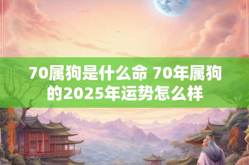 70属狗是什么命 70年属狗的2025年运势怎么样