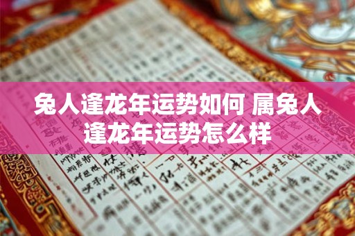 兔人逢龙年运势如何 属兔人逢龙年运势怎么样 兔人逢龙年运势如何 属兔人逢龙年运势怎么样