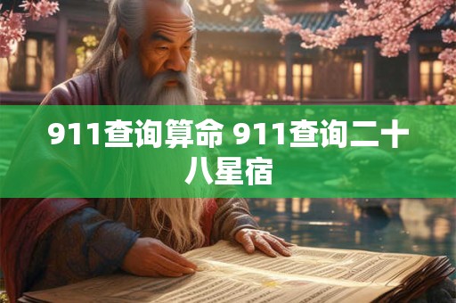 911查询算命 911查询二十八星宿