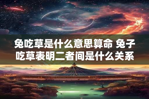 兔吃草是什么意思算命 兔子吃草表明二者间是什么关系 兔吃草是什么意思算命 兔子吃草表明二者间是什么关系
