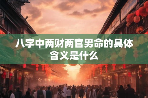 八字中两财两官男命的具体含义是什么