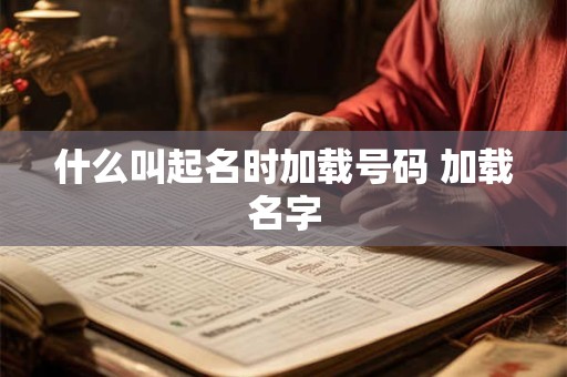 什么叫起名时加载号码 加载名字