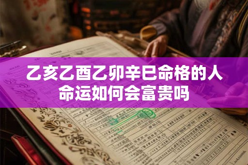 乙亥乙酉乙卯辛巳命格的人命运如何会富贵吗