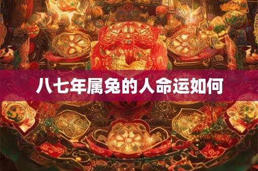 八七年属兔的人命运如何
