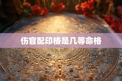 伤官配印格是几等命格