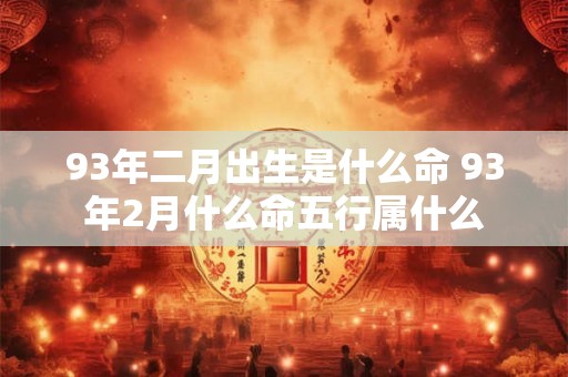 93年二月出生是什么命 93年2月什么命五行属什么