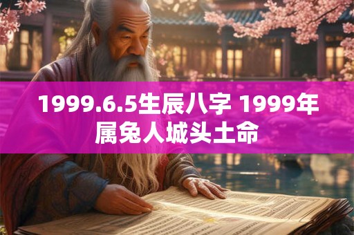 1999.6.5生辰八字 1999年属兔人城头土命