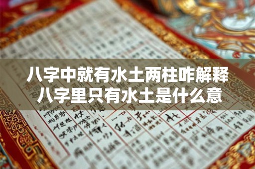 八字中就有水土两柱咋解释 八字里只有水土是什么意思