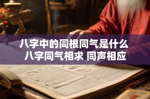 八字中的同根同气是什么 八字同气相求 同声相应
