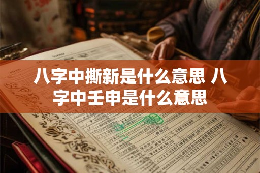 八字中撕新是什么意思 八字中壬申是什么意思