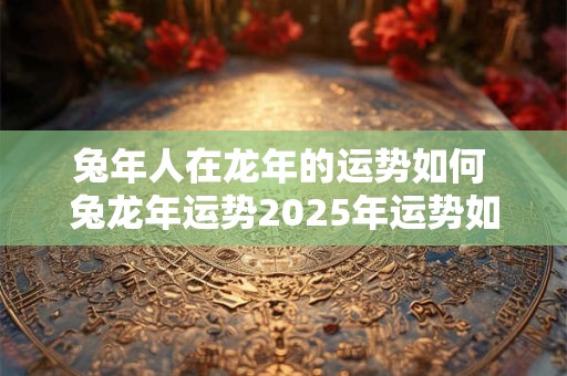 兔年人在龙年的运势如何 兔龙年运势2026年运势如何