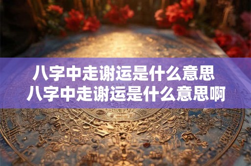 八字中走谢运是什么意思 八字中走谢运是什么意思啊