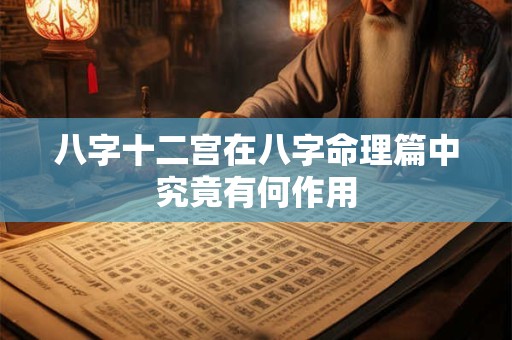 八字十二宫在八字命理篇中究竟有何作用