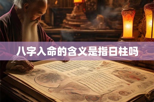 八字入命的含义是指日柱吗