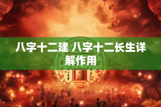 八字十二建 八字十二长生详解作用
