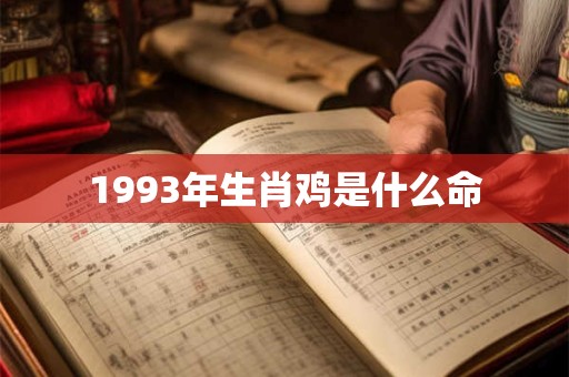 1993年生肖鸡是什么命