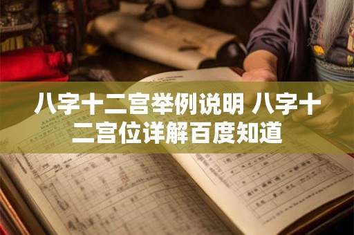 八字十二宫举例说明 八字十二宫位详解百度知道