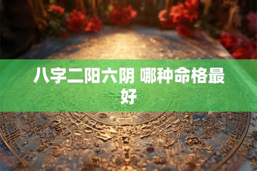 八字二阳六阴 哪种命格最好