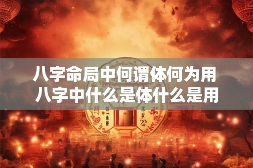 八字命局中何谓体何为用 八字中什么是体什么是用