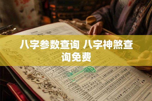 八字参数查询 八字神煞查询免费