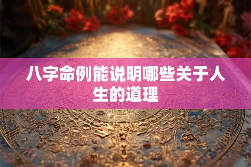 八字命例能说明哪些关于人生的道理