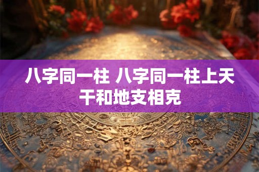 八字同一柱 八字同一柱上天干和地支相克