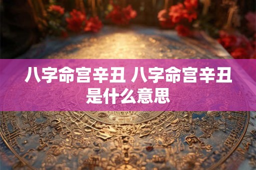 八字命宫辛丑 八字命宫辛丑是什么意思