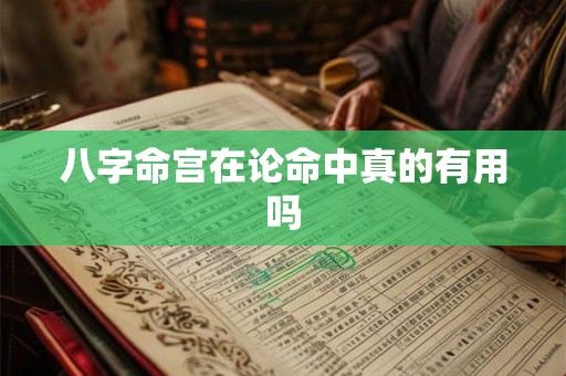 八字命宫在论命中真的有用吗
