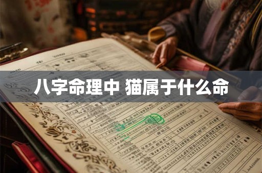 八字命理中 猫属于什么命