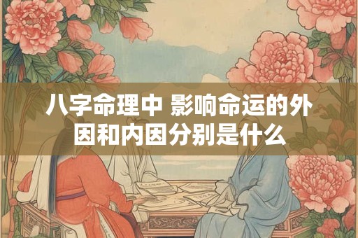 八字命理中 影响命运的外因和内因分别是什么
