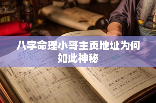 八字命理小哥主页地址为何如此神秘