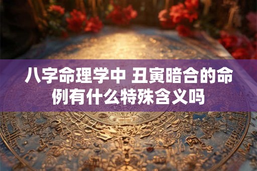 八字命理学中 丑寅暗合的命例有什么特殊含义吗