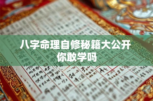 八字命理自修秘籍大公开 你敢学吗