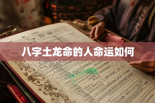 八字土龙命的人命运如何