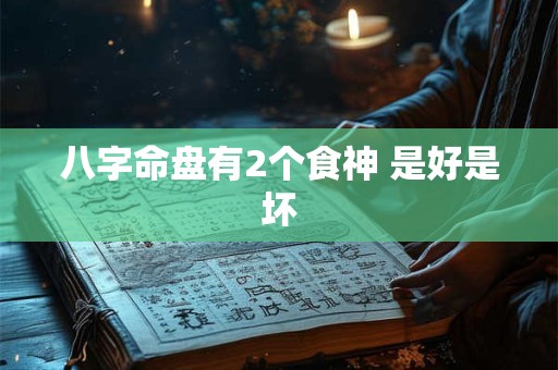 八字命盘有2个食神 是好是坏