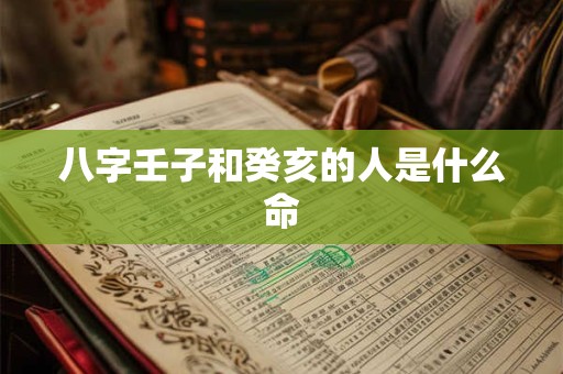 八字壬子和癸亥的人是什么命