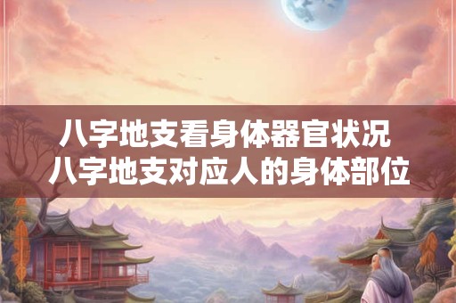 八字地支看身体器官状况 八字地支对应人的身体部位