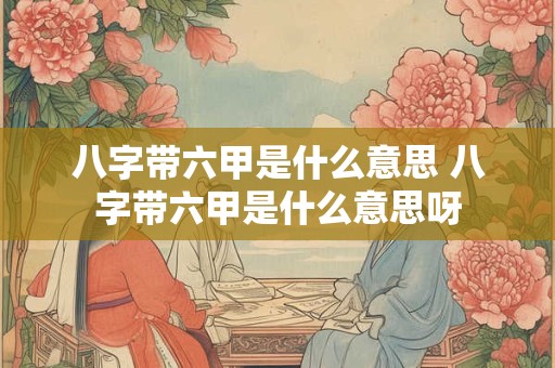 八字带六甲是什么意思 八字带六甲是什么意思呀 八字带六甲是什么意思 八字带六甲是什么意思呀