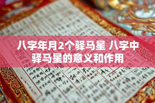 八字年月2个驿马星 八字中驿马星的意义和作用