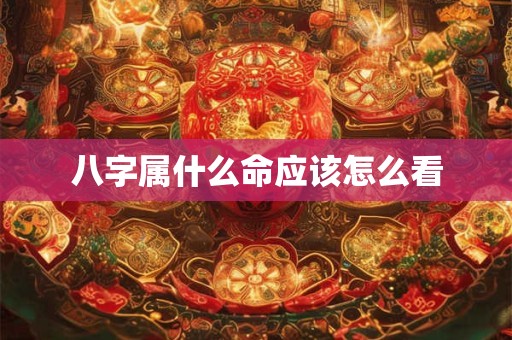 八字属什么命应该怎么看