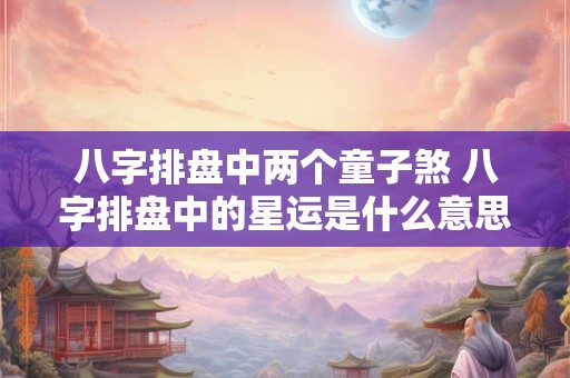 八字排盘中两个童子煞 八字排盘中的星运是什么意思