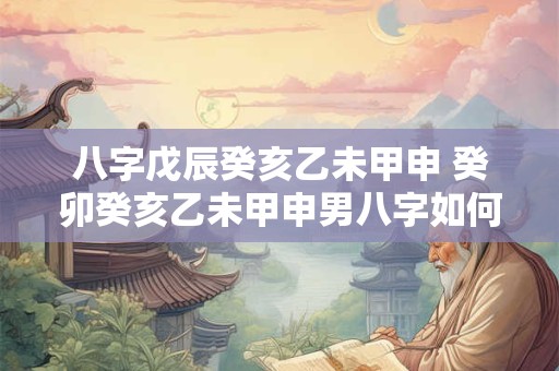 八字戊辰癸亥乙未甲申 癸卯癸亥乙未甲申男八字如何