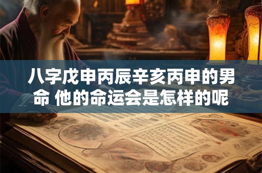 八字戊申丙辰辛亥丙申的男命 他的命运会是怎样的呢
