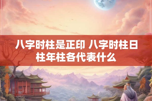 八字时柱是正印 八字时柱日柱年柱各代表什么