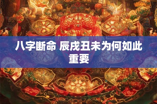 八字断命 辰戌丑未为何如此重要