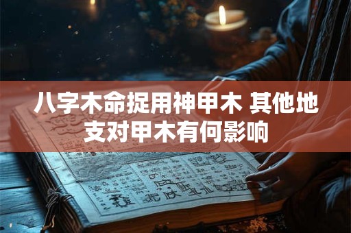 八字木命捉用神甲木 其他地支对甲木有何影响
