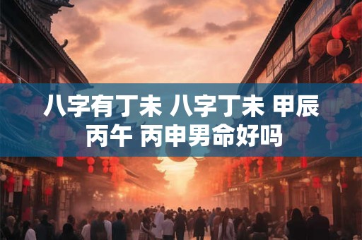八字有丁未 八字丁未 甲辰 丙午 丙申男命好吗
