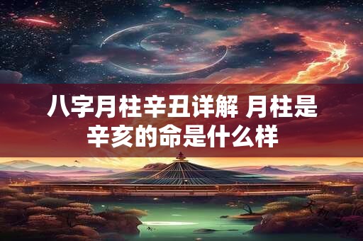 八字月柱辛丑详解 月柱是辛亥的命是什么样