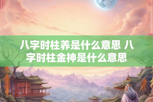 八字时柱养是什么意思 八字时柱金神是什么意思